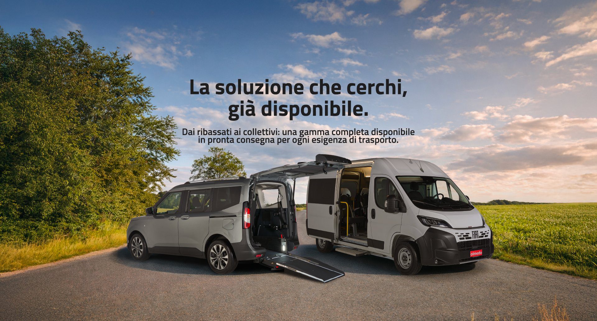 Pronta consegna veicoli olmedo